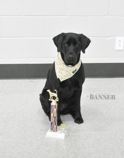 web2-CC-Fair-dog-show-Sporting-DSC_0211