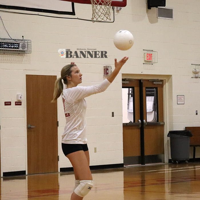 Web Cassidy with Serve