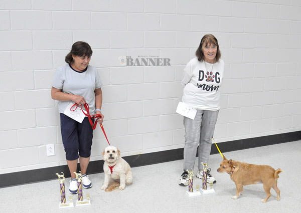 web2-CC-Fair-dog-show-MixedBreed-DSC_0177