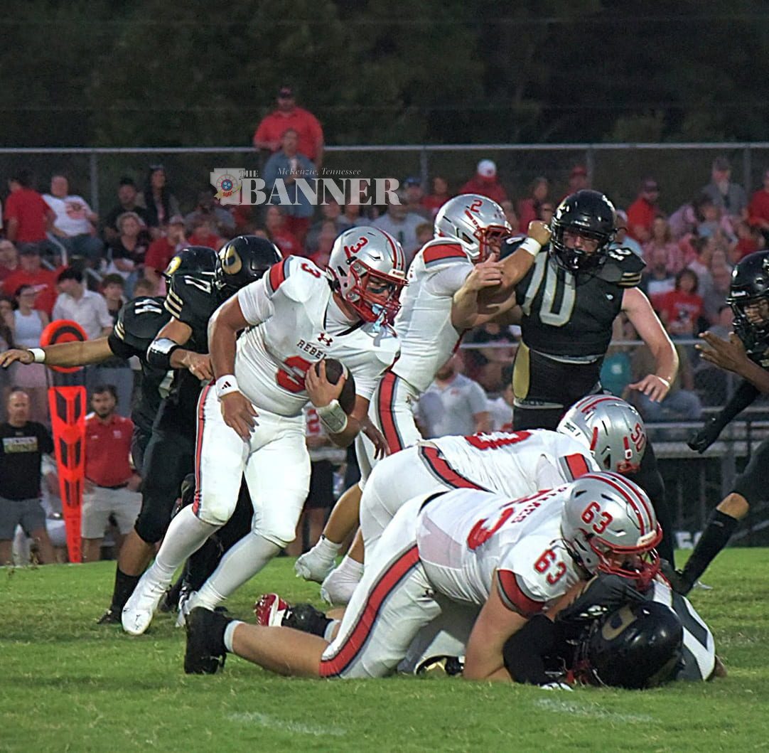 web-MHS-DHS-cbrown