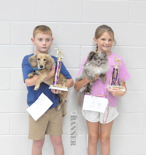 web2-CC-Fair-dog-show-Showman12under-DSC_0130