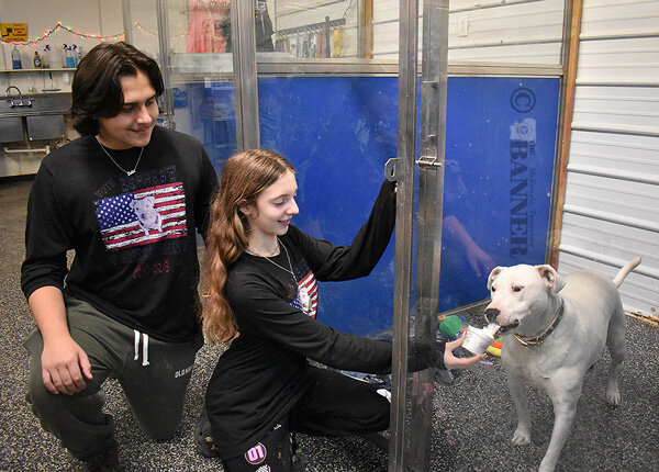 Humane Society Hosts Christmas Open House