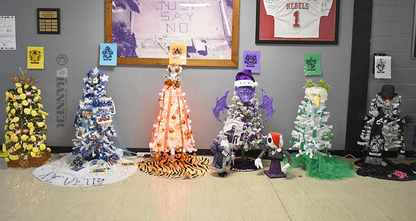 20241230-105503-bbc-web2-MMS-xmas-house-trees-DSC_0117.jpg