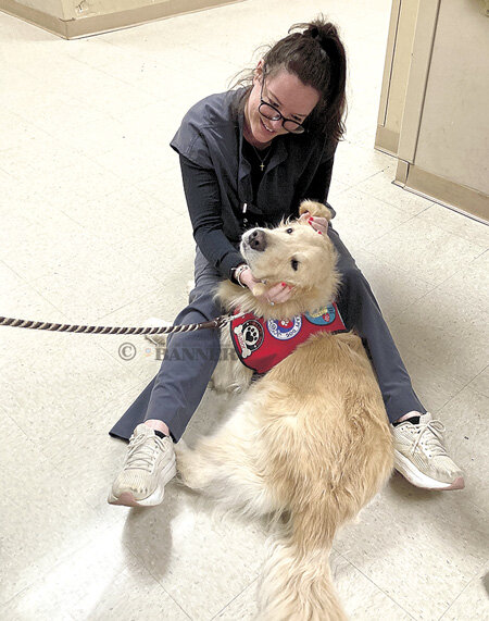 20250203-161701-f84-web2-WTH-therapy-dog2-IMG_7905-gray.jpg