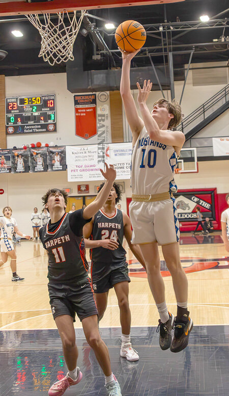 Fillies, Mustangs Fall in Region Semifinals