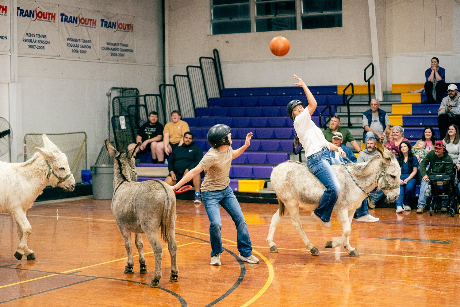 Bethel Faculty, Staff, Students to Compete in Donkey Basketball