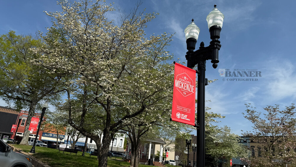 20250414-152501-514-web2-city-banners-IMG_5404.jpg