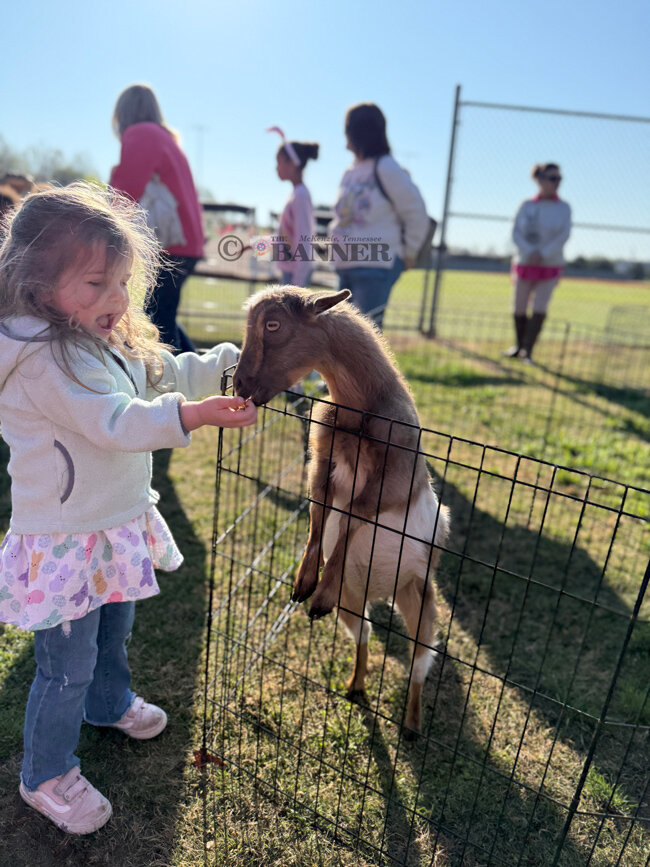 20250414-210641-fca-web2-EggDrop-IMG_5316-goat-best.jpg