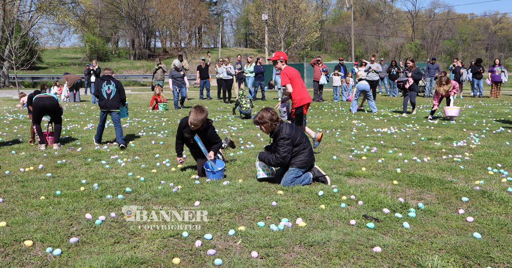 20250414-210637-ad1-web2-EggDrop-IMG_0197-8-10-field.jpg