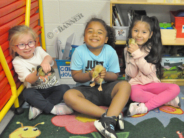Pre-K Raises Ducklings, Grows Small Gardens