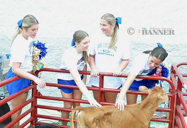 20250805-103818-8cc-web2-Walmart-calf-cheer-DSC_0049.jpg