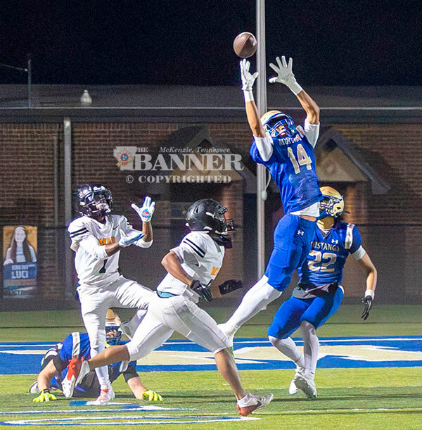 20251110-133447-a54-web2-HHS-fb-strayhorn-6K8A9907.jpg