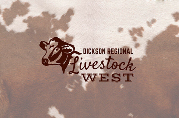 20251229-165141-435-web2-drl-west.jpg
