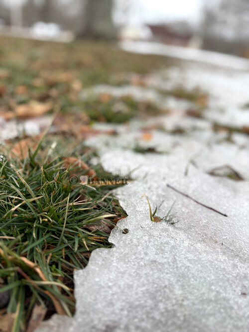 Some Normalcy Returns After Winter Storm Fern