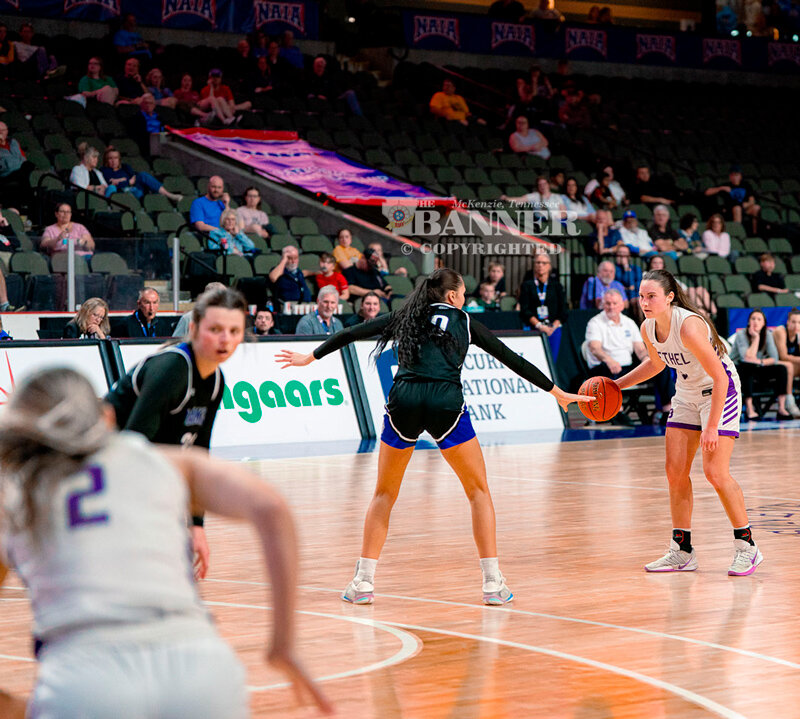 Lady Wildcats Fall Short in Basketball Quarterfinals of NAIA Championships