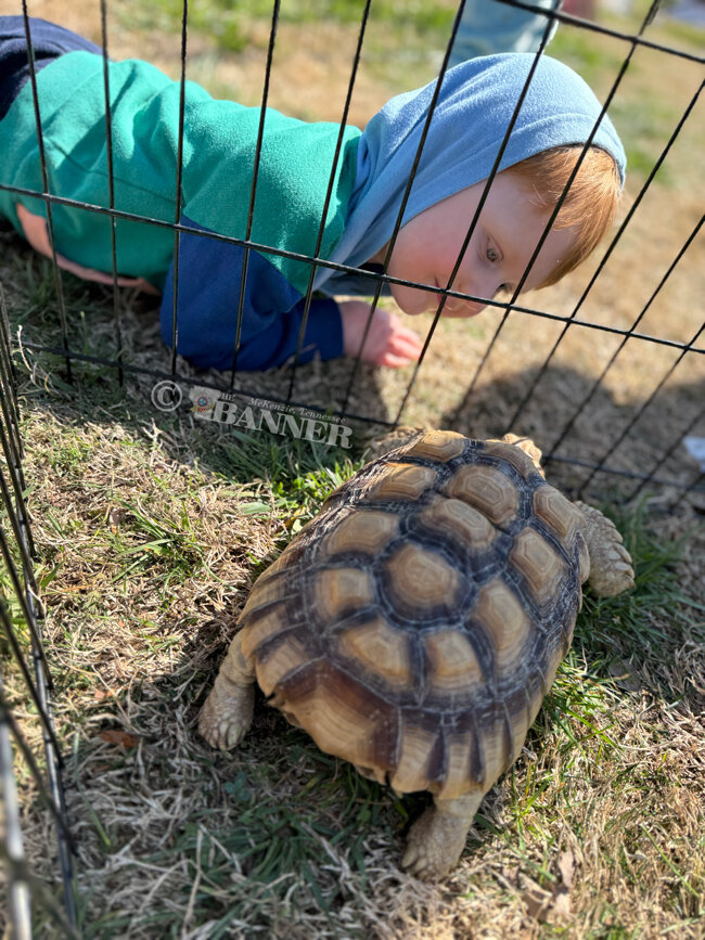 20260331-110257-45f-web2-egg-hunt-turtle-IMG_4891.jpg