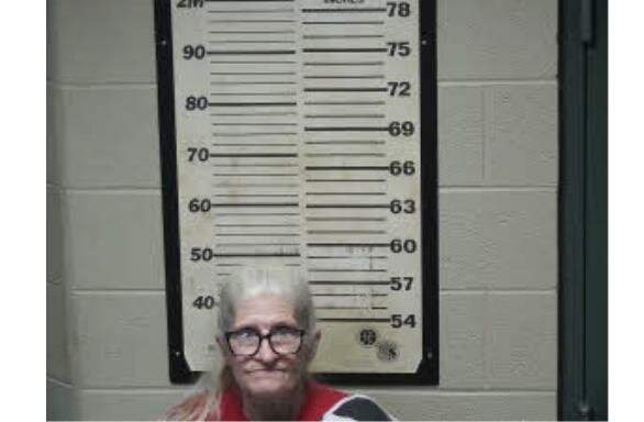 Bruceton Woman Arrested, Drugs Seized in TBI Investigation