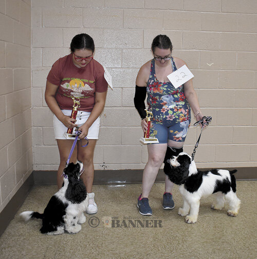20240812-145335-22f-web2-CCdogs-Sporting-DSC_0082.jpg