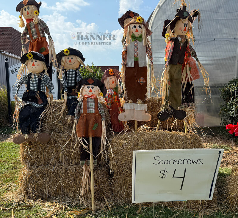 20240923-144804-4b1-web2-ffA_scarecrow_IMG_1607.jpg