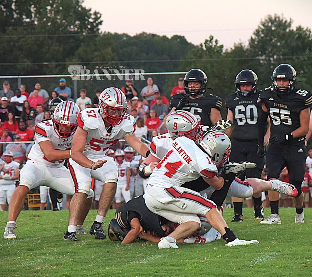 web-MHS-DHS-defense