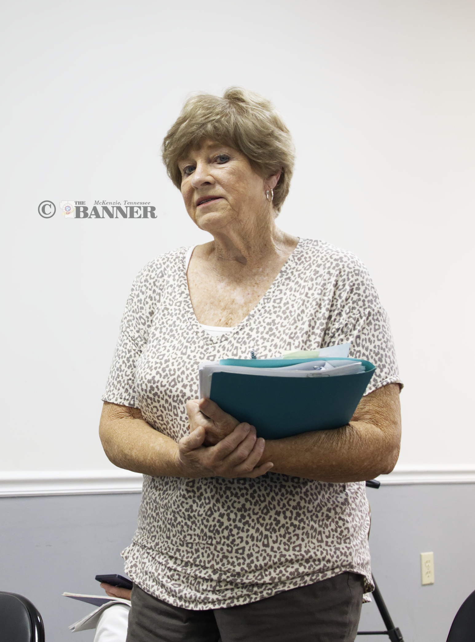 Trezevant Council Backtracks on Rezoning Vote