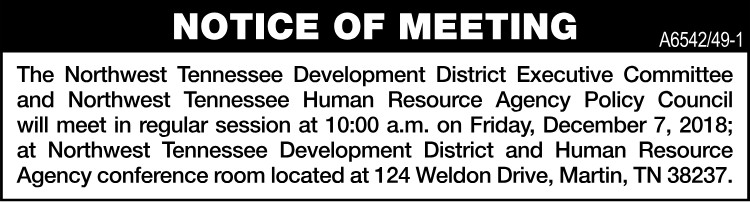 NWTN Development - Dec. 7 Meeting