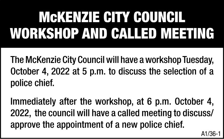 McKenzie City Council Workshop