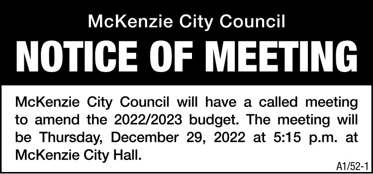 McKenzie City Council Meeting