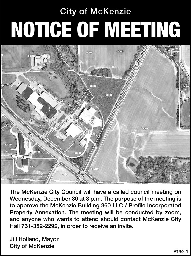 City of McKenzie - Meeting